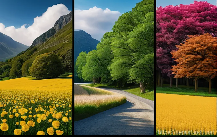 필라테스 강사와 재활 운동 - Here are three detailed image prompts in English, designed for Stable Diffusion, adhering to all the...